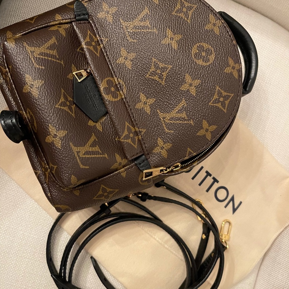 💕Louis Vuitton Palm Springs Mini💕